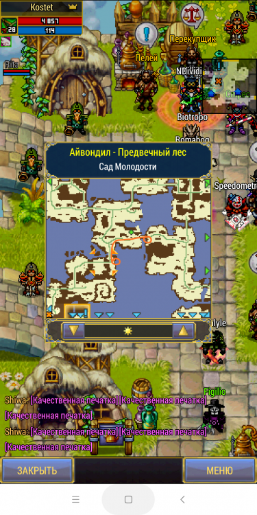 Screenshot_2018-09-28-00-01-31-094_com.aigrind.warspear.png