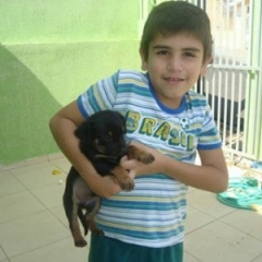 Etenente