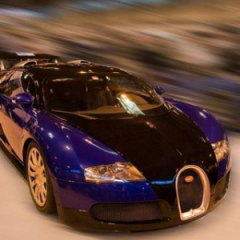 dabsteper777@gmail.com