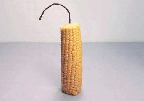 the-absolute-best-gifs1.gif