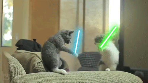kb.gif