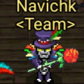 Navichk