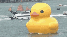 large-duck.gif