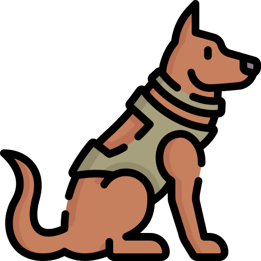 image.png.20960735ff31edf6192a5ad03a850f28.png