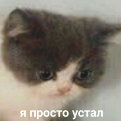 Letivban