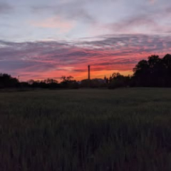 Алексей Яяяяя