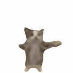 happycat.gif.0274faf1be3818fb5d30b2075793731c.gif