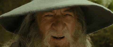 gandalf-gif.gif