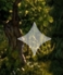 image.png.3b133a35601b791f572a1403aae73dbd.png