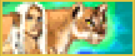 2026-05-06182517.png.db799e53aae7e389bbe564ccef13ded8.png