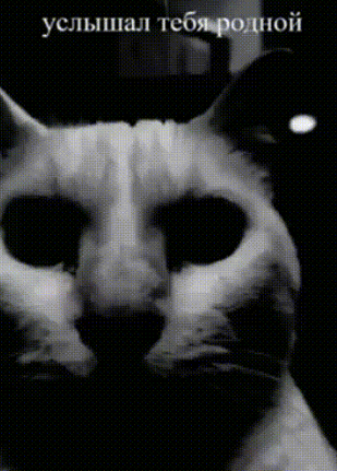 image.png.d825b894a847aea8555aaca04e74bdb2.png
