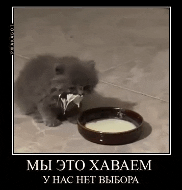 --.gif.f4b3f17beea1cfe1780dc97a42e2848c.gif